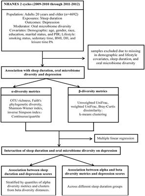 Oral microbiome diversity shapes the association between sleep duration and depression